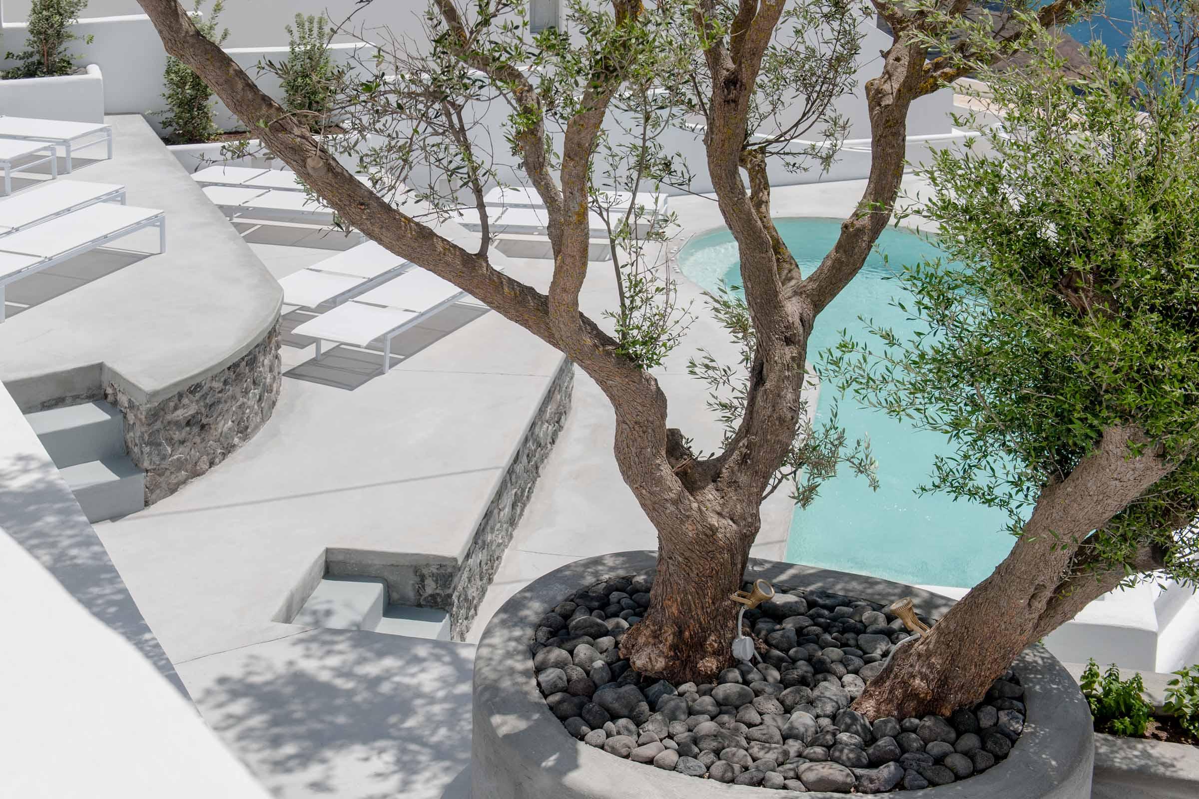 Senses Suites إيميروفيغلي المظهر الخارجي الصورة